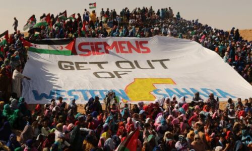 Mistä nyt tuulee: Sahrawipakolaiset vastustavat Siemensin energiahanketta
