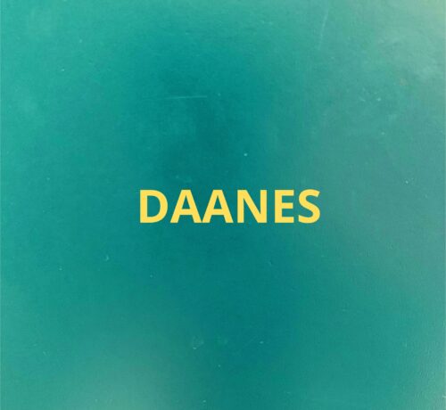 DAANES ja Syyrian uusi hallinto
