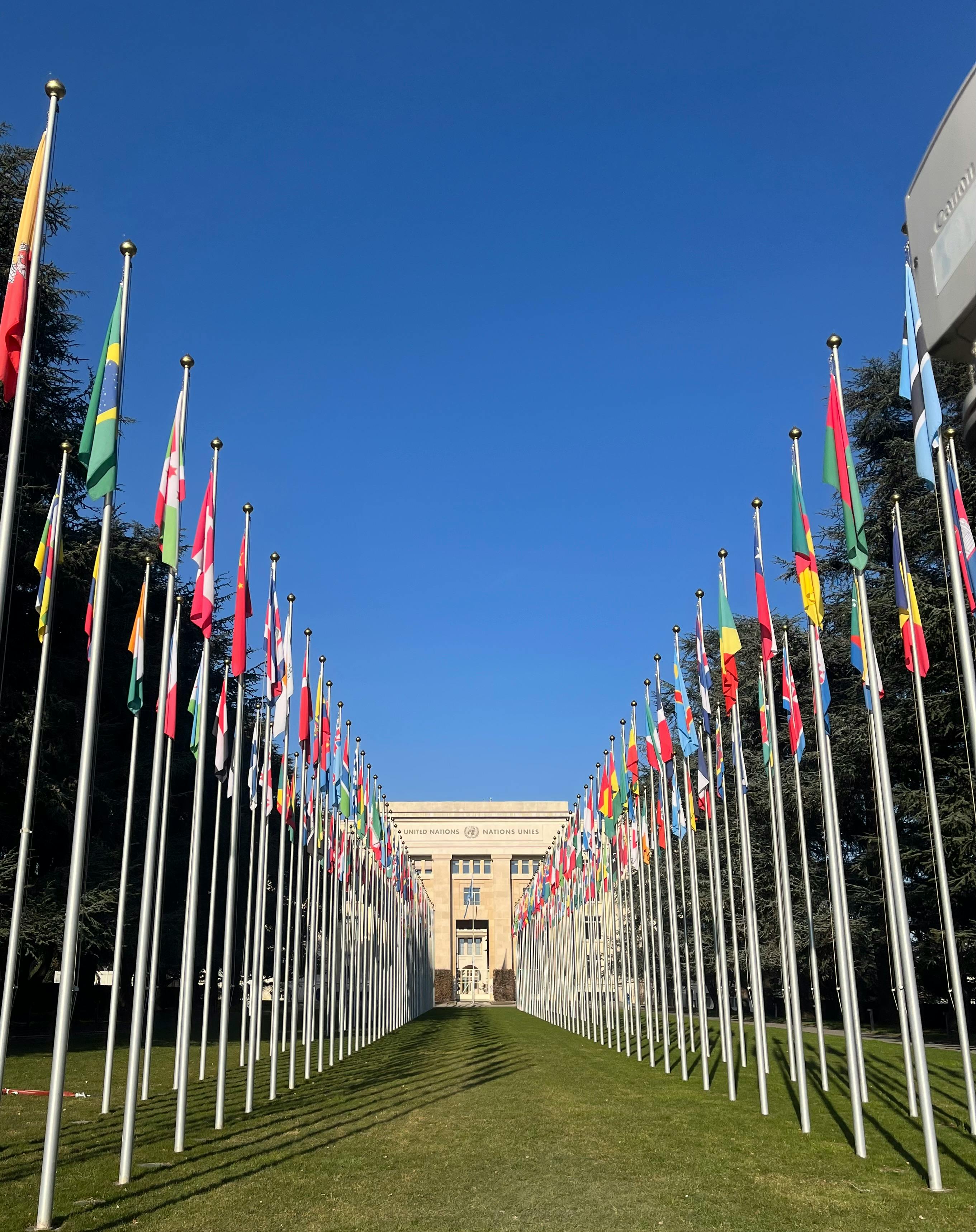 Seminaari YK:n elvyttämisestä ja sen roolista rauhanrakentajana • Helsinki